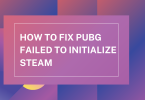 How to fix PUBG failed to initialize Steam